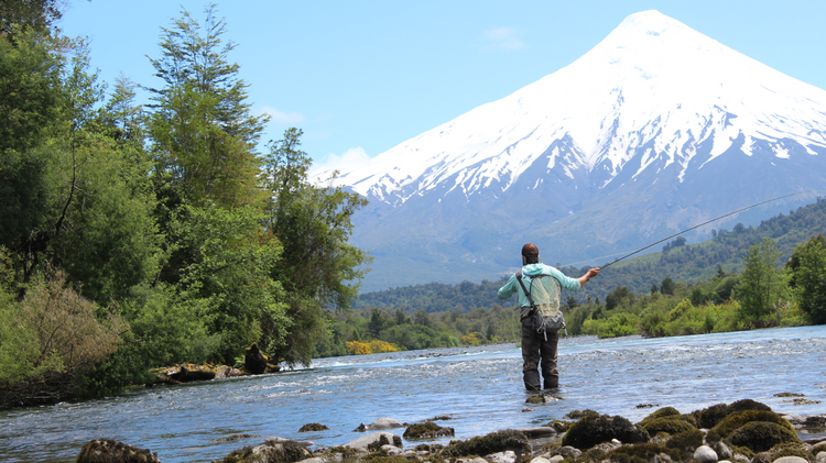 Guía de zonas de pesca recreativa en Chile: de Arica a Magallanes