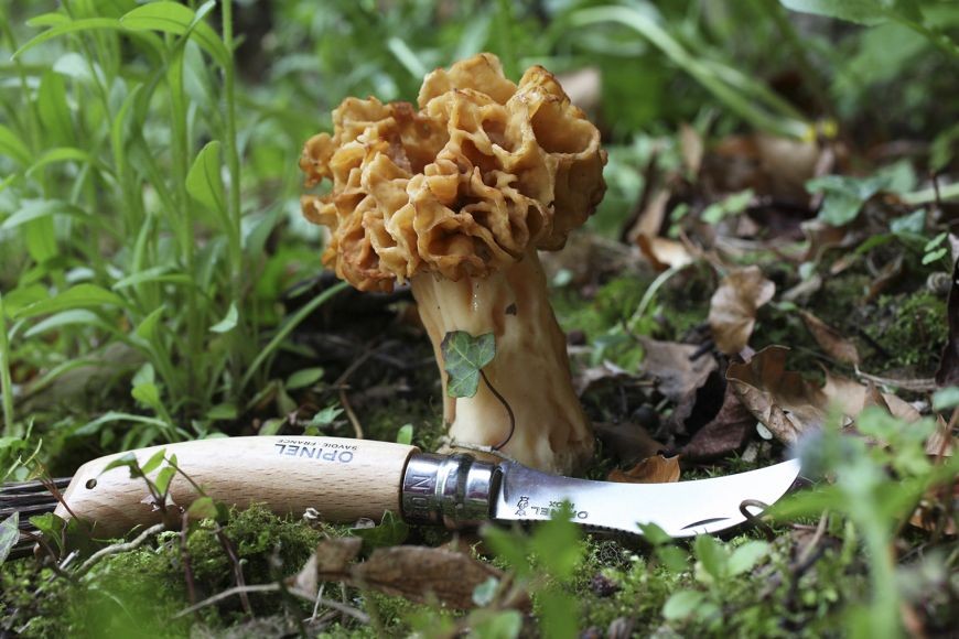 OPINEL MUSHROOM Nº8