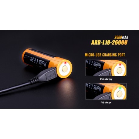 BATERIA FENIX USB ARB-L18-2600 MAH