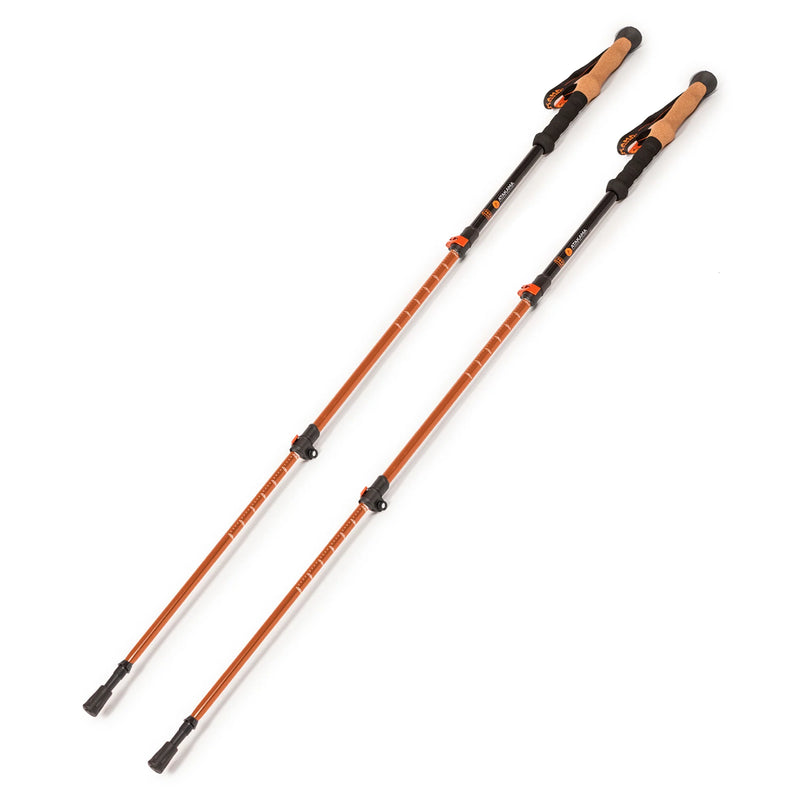 BASTONES DE TREKKING ATAKAMA QUEULAT