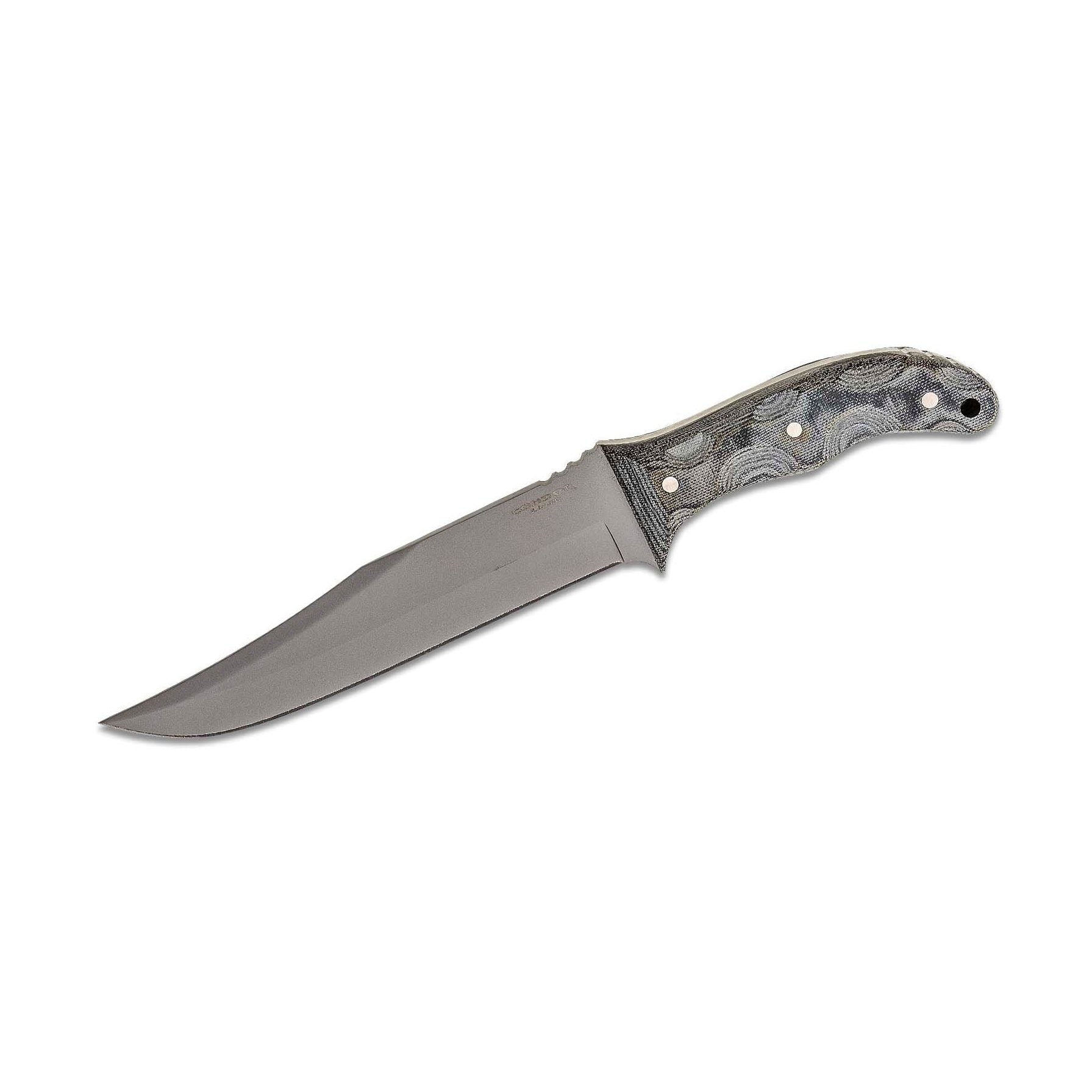 CONDOR BELGIAN BOWIE