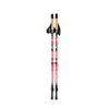 BASTON TREKKING DOBLE SENDER DOITE 2 SECCIONES