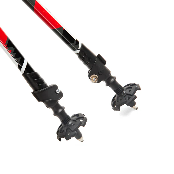 BASTON TREKKING DOBLE SENDER DOITE 2 SECCIONES