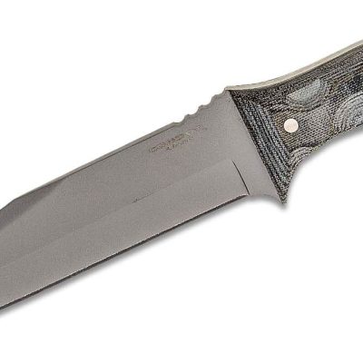 CONDOR BELGIAN BOWIE