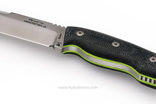 Openfield-4_P-597x398